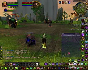 探寻皇帝少昊声望刷到崇拜所需时长之谜