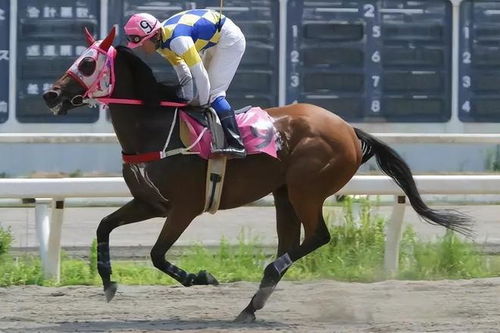 官方紧急道歉！《赛马娘》玩偶惊现“人耳”，创新设计引热议