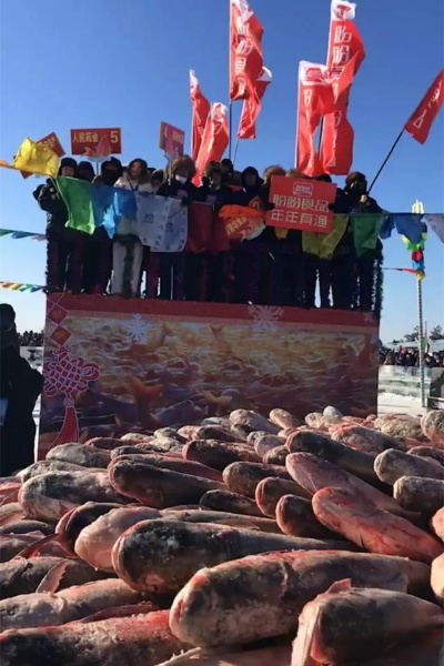 169万豪礼！京东独家赞助查干湖冬捕，头鱼免费大放送！