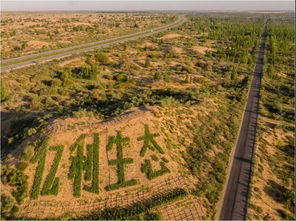 《拉格朗日四年坚守，荒漠植绿五万株，初心铸就绿色传奇》