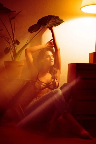 光影之光，小工作室独领风骚提名盛赞