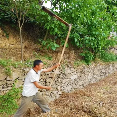 当死神镰刀挥向豌豆射手，这场跨维度对战的隐藏机制你看懂了吗？
