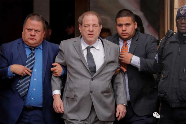 恶霸托比总统令：狗仔挨打合法化惊爆内幕