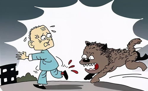 紧急救治!宠物鸭病重,主人雾化护理全力挽救新希望 紧急救治!宠物鸭病重,主人雾化护理全力挽救新希望