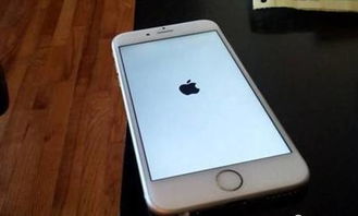 iOS 26普及率骤降：仅16%用户升级，苹果新系统遇冷