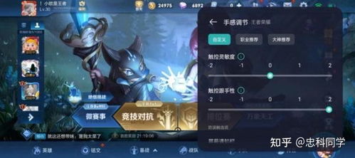 狂战传说re NS版帧率揭秘：30帧极限体验新突破