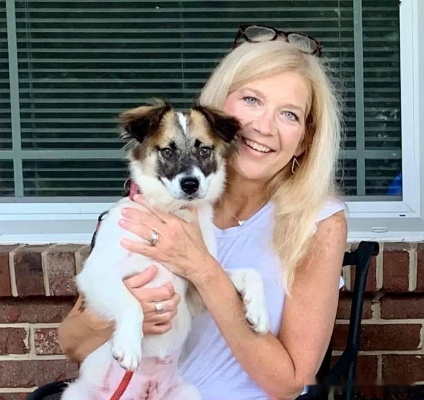 爱犬被咬事件：大表姐忍痛送走7年挚友，亲情与安全两难抉择