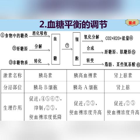 新版植物大战僵尸2，刚摸透的5个隐藏机制，为什么老玩家都在狂刷？