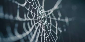 为什么见证者能让90%高玩卡关?解密这款烧脑神作的隐藏思维陷阱 为什么见证者能让90%高玩卡关?解密这款烧脑神作的隐藏思维陷阱