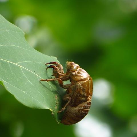 《天崩地裂!《棕色尘埃2》服装和谐引众怒,新潮流来袭》 《天崩地裂!《棕色尘埃2》服装和谐引众怒,新潮流来袭》