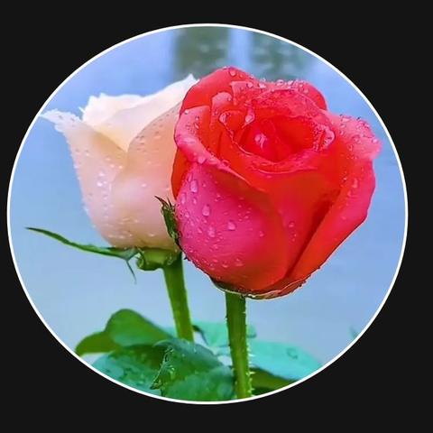 微信新功能上线:头像可改写,个性化互动新体验 微信新功能上线:头像可改写,个性化互动新体验