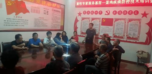 高效工作，精神饱满，王腾团队揭秘8小时高效作息秘诀