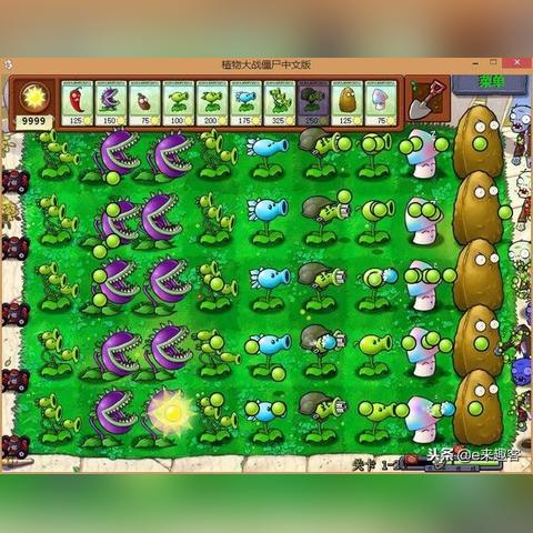 植物大战僵尸十年老玩家揭秘，隐藏在阳光值里的通关密码，90%的人都忽略了？