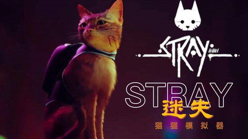 迷失Stray隐藏结局破防?猫玩家必看的「墙缝密码」与人性隐喻 迷失Stray隐藏结局破防?猫玩家必看的「墙缝密码」与人性隐喻