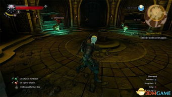 《巫师3》DLC剧情揭秘：5月新篇章，玩家热议新价值揭晓