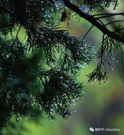 暮雨今夕里的雨为什么总下不完?我刷了5遍才懂,每滴雨都是未完成的告别 暮雨今夕里的雨为什么总下不完?我刷了5遍才懂,每滴雨都是未完成的告别
