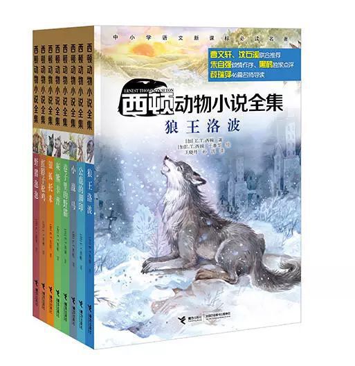 《动物森友会》NS2版升级超值尊享，全新体验价优首选