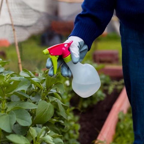 植物大战僵尸2中文版隐藏关通关率骤降?老玩家3个冷操作把难度打回新手局 植物大战僵尸2中文版隐藏关通关率骤降?老玩家3个冷操作把难度打回新手局