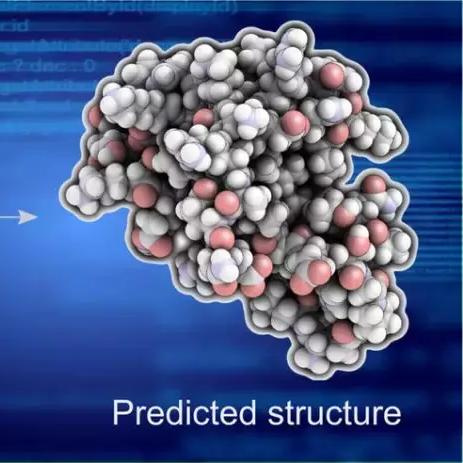 iPhone Fold真全面屏首曝：颠覆视觉体验的全新设计！