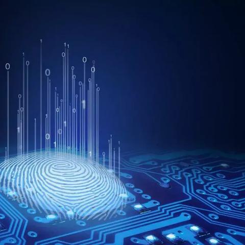 内存条狂飙！老哥1T提前购，理财新宠涨势惊人