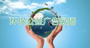 江苏巨蜂窝屋主奇招：蜂群共度寒冬，守护家园温暖