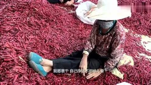 天水捣辣椒大爷终于歇了！游戏里那些逼得人想手动的重复活，现在能一键解决？