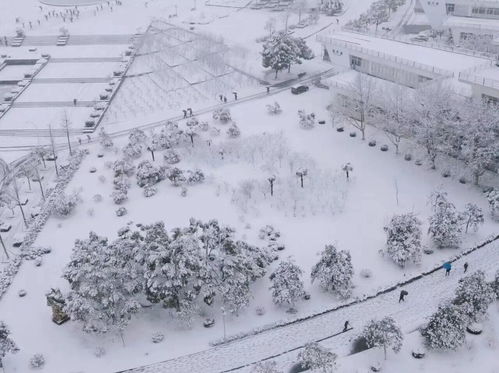 俄罗斯公寓楼雪坡惊现30年最强暴雪，创历史降水量新纪录