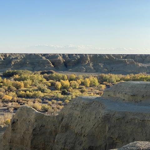 黑色沙漠玩家必看,你刷的怪、挖的矿,藏着多少没摸到的赚钱门道? 黑色沙漠玩家必看,你刷的怪、挖的矿,藏着多少没摸到的赚钱门道?