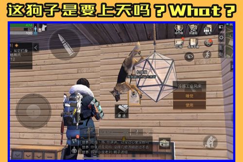 咕噜游戏为什么能让老玩家蹲守三年?我用300小时实战解开隐藏机制 咕噜游戏为什么能让老玩家蹲守三年?我用300小时实战解开隐藏机制