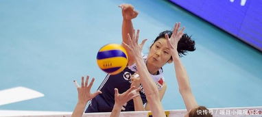 死或生沙滩排球去哪下？老玩家压箱底的3个合规渠道+避坑指南