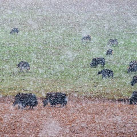 《心之眼》全新升级,22人秘境探险,探秘新境界! 《心之眼》全新升级,22人秘境探险,探秘新境界!