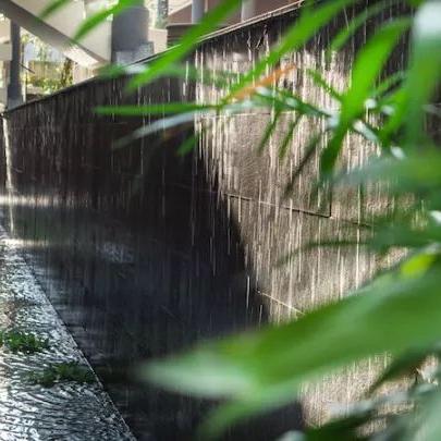 《心之眼》全新升级,22人秘境探险,探秘新境界! 《心之眼》全新升级,22人秘境探险,探秘新境界!