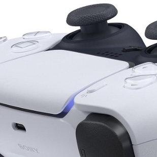 狗啃PS5手柄引热议，网友：创意还是馊主意？