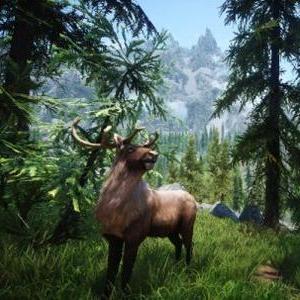 上古卷轴5美女MOD，老玩家私藏3个月的天际颜值革命，为什么比你装的都香？