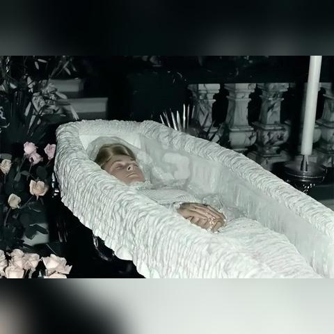 《识质存在》戴安娜！萌装互动，探秘游戏新境界