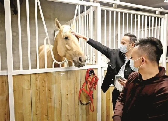 神骏联动汗血宝马，共启马年文化传承之旅，开启奇幻新篇章