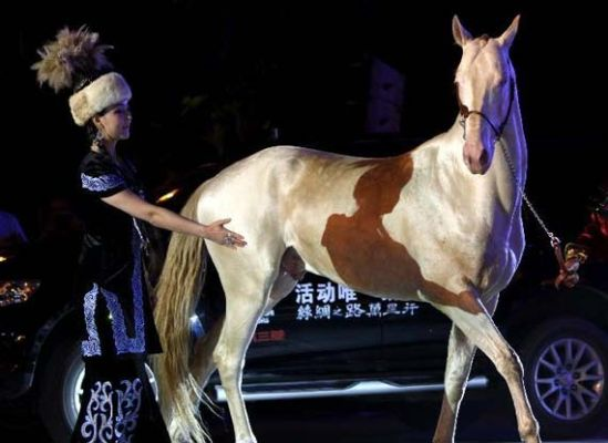 神骏联动汗血宝马，共启马年文化传承之旅，开启奇幻新篇章