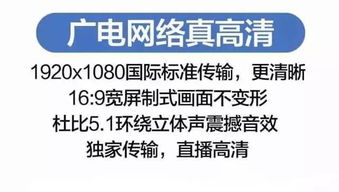 万元RTX 5080订单取消却送货上门,客服承诺:免费配送! 万元RTX 5080订单取消却送货上门,客服承诺:免费配送!