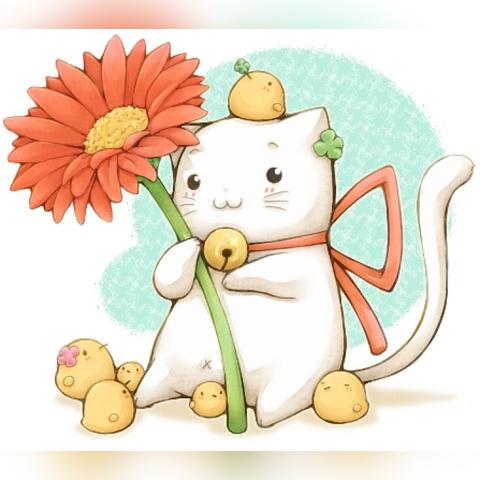 猫扑魔兽老玩家私藏的3个隐藏玩法，为什么现在还有人蹲守N服？