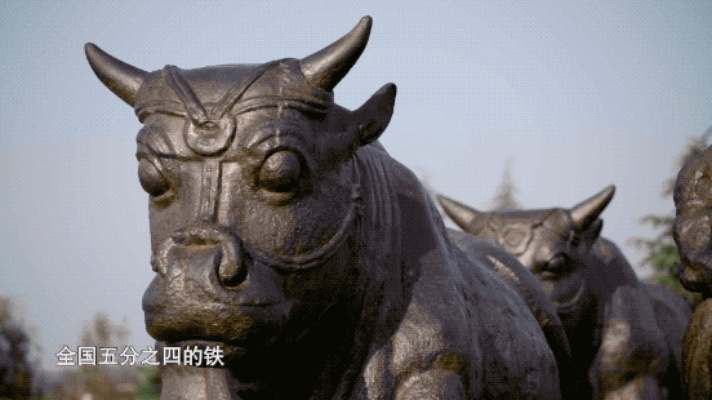 一万年首次揭秘：牛巧用工具智慧传承新篇章