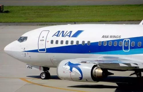 大韩航空回应机长自杀式飞行威胁：航司合并引不满风波