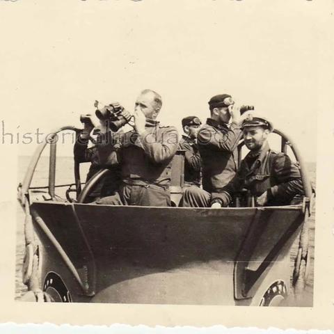 十字君王到底藏着多少未公开的团战杀招？老玩家拆解3个版本都没讲透的机制