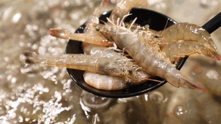 盒马虾煮后蓝汁揭秘：安全美味双重保障