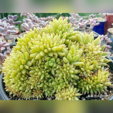 轩辕剑汉之云在哪下？老玩家亲测3种干净渠道+避坑指南，直接找回当年的温度