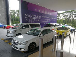 新加坡共享汽车刮漆赔偿6万，赔偿金堪比新车！