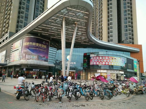 任天堂周边新宠：话痨花周边大揭秘，痒痒雄蕊引关注