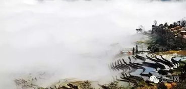 桃源村日志：绝美画风，中国风星露谷新体验