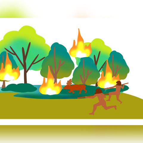 森林狩猎玩家都在藏的3个致胜秘密,为什么你打不到黄金猎物? 森林狩猎玩家都在藏的3个致胜秘密,为什么你打不到黄金猎物?