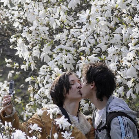 游戏论坛网藏着多少玩家不知道的通关密码?老炮用3个月实战扒出核心玩法 游戏论坛网藏着多少玩家不知道的通关密码?老炮用3个月实战扒出核心玩法