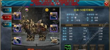 御龙在天霸刀马装搭配推荐，教你打造最强战力！